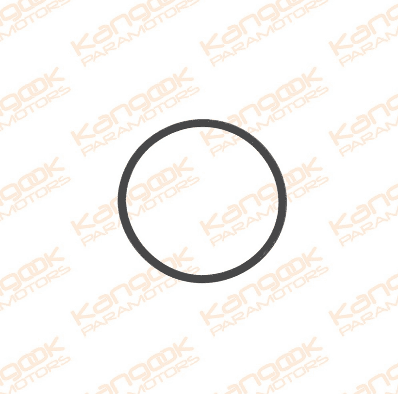 M091a | O-Ring Viton Ø 33.05 x 1.78 mm