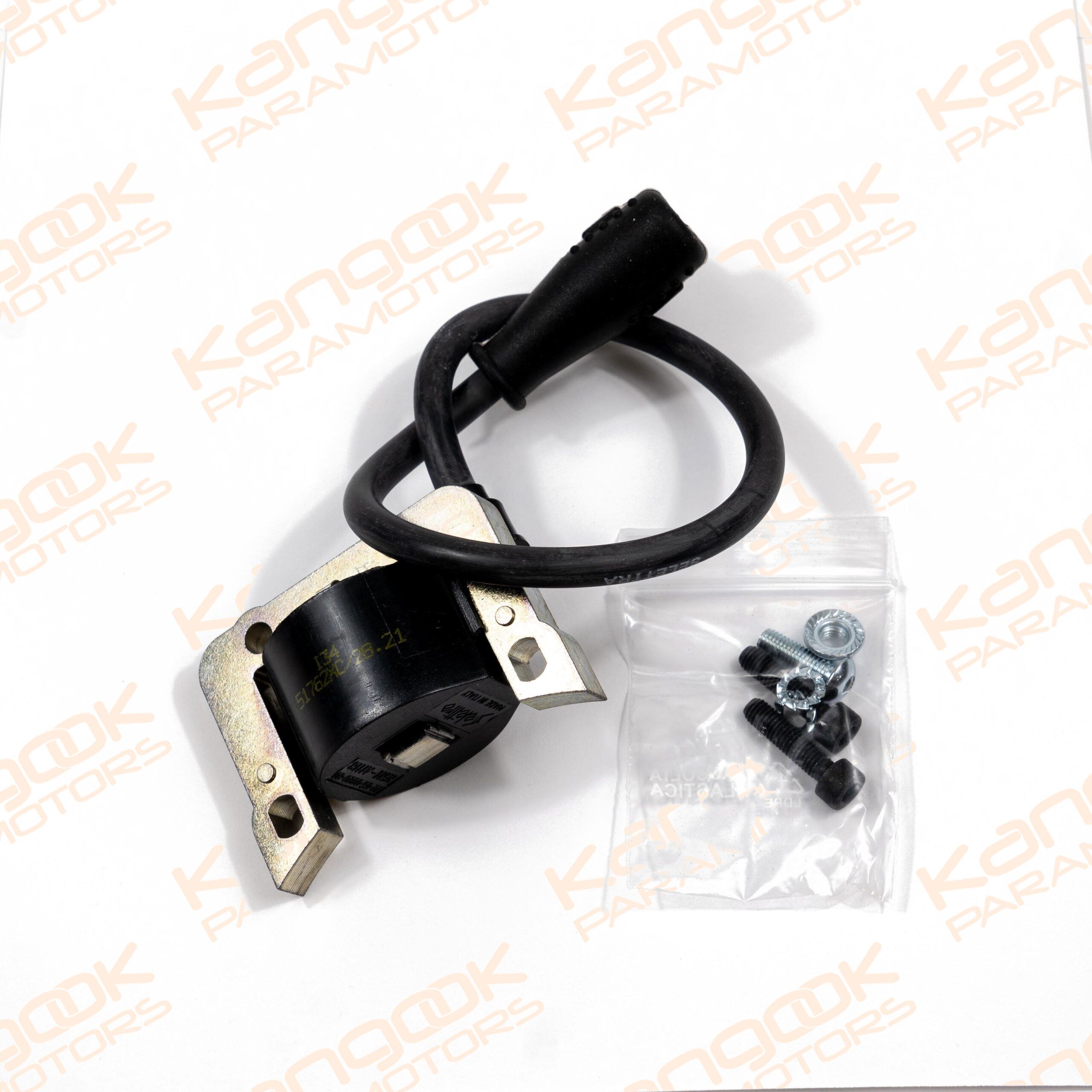 AT031 | Electronic ignition coil with Spark-plug cap and Bolts